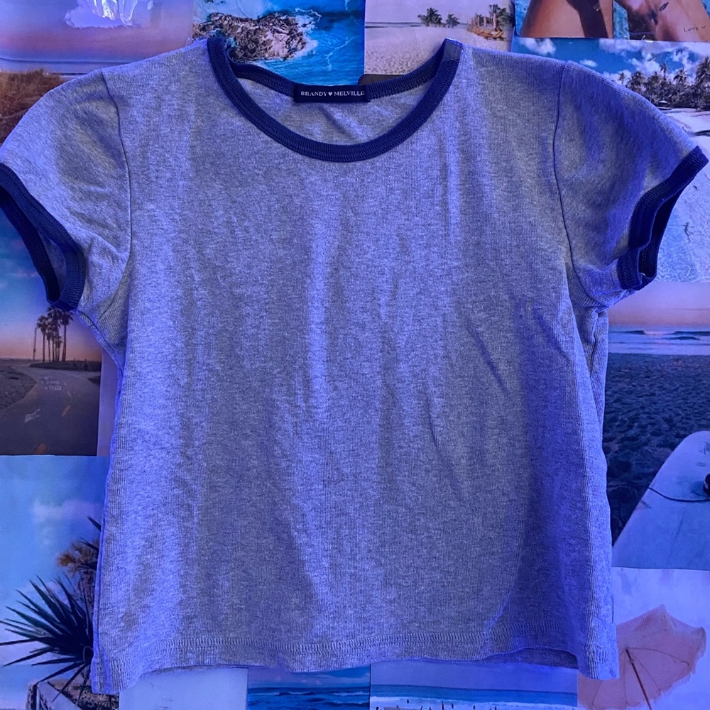 Brandy Melville Grey Top Lined with Navy💫
